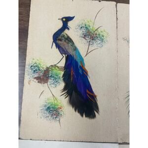 Vintage Mexican Feather Bird Art – Handcrafted Folk Art Collection (Set of 6)